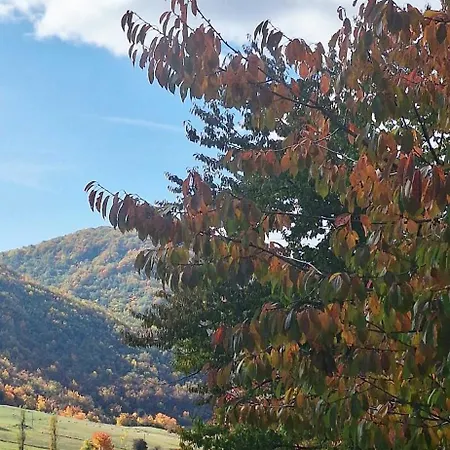 Nest For Rest Нова-Варош