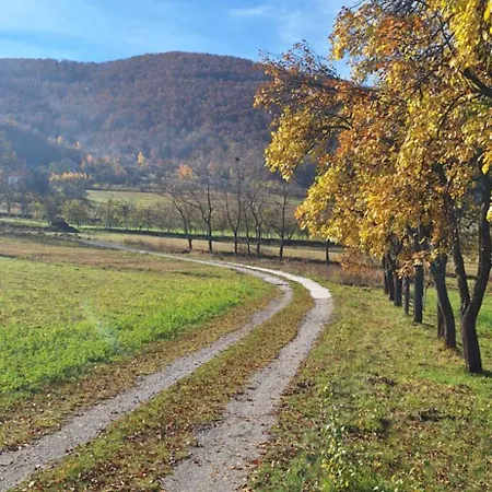 Nest For Rest Дом отдыха Нова-Варош