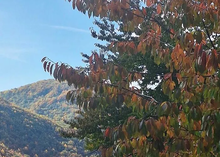 Nest For Rest Nova Varoš